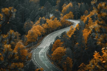 Obraz premium A scenic view of a winding road through a forest in autumn