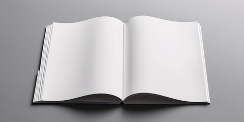 booklets, open and lying flat, isolated on a gray background.