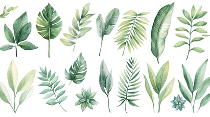 Fototapeta premium Exotic Tropical Flora Watercolor Illustration - Perfect for Summer Decor and Botanical Designs