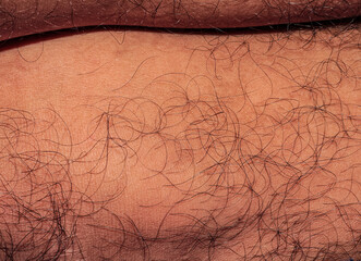 Hair on human skin, shin of hairy man's leg