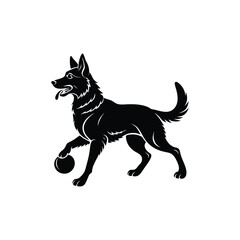 German shepherd dog playing silhouette
