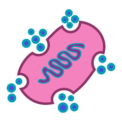 Mitochondrial pathway 