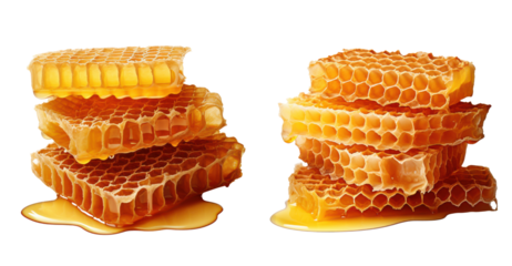 Honeycombs isolated on transparent background