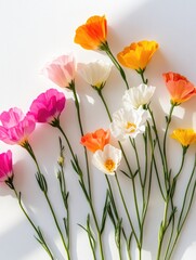 Obraz premium Colorful Flowers on White Surface
