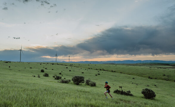 Morning Jog Through a Green Meadow