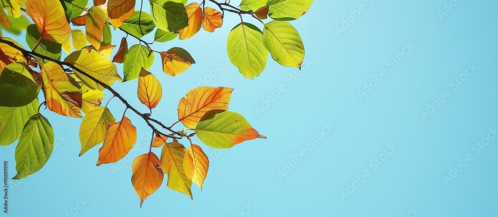 Poster scenic view of leaves on a tree branch against a clear blue sky with copy space image
