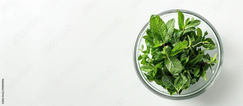Aufkleber fresh mint herbs in a glass bowl on a white background perfect for adding text or images with its co