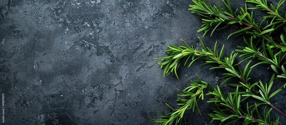 Poster fresh organic rosemary plant a fragrant herb adding flavor to dishes ideal for food preparation crea