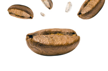 Intimate Marco Photo View of a Coffee Bean on white or transparent png