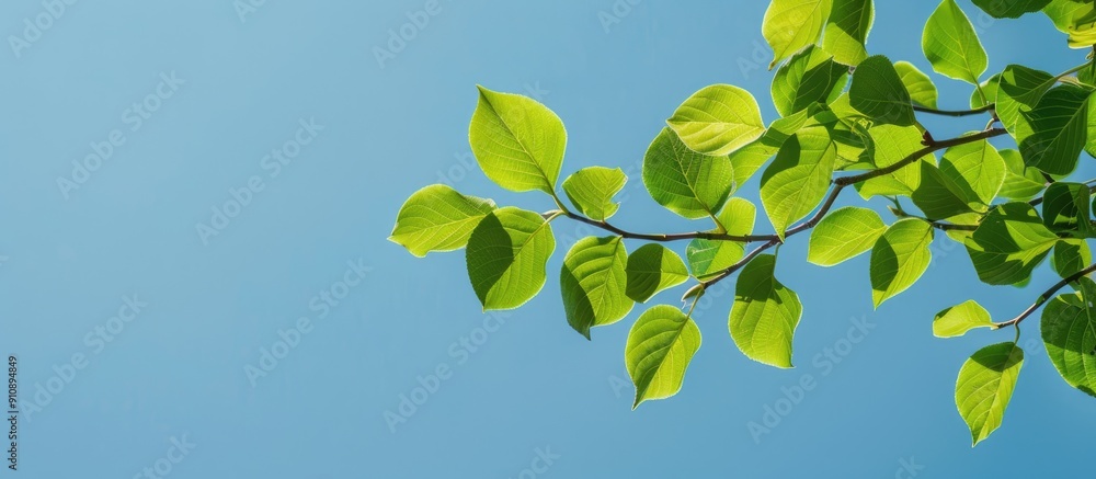 Poster Scenic view of leaves on a tree branch against a clear blue sky with copy space image