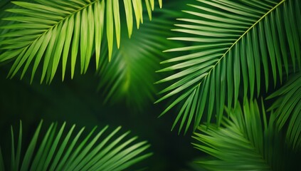 Abstract background that evokes tropical vibes.