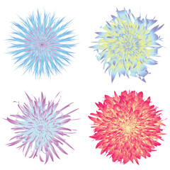 Set of images of chrysanthemum flowers in different gradient colors