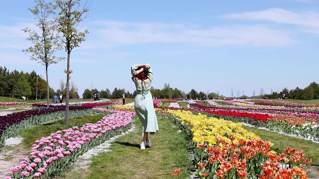 A young girl in a straw hat running through a tulip field in slow motion. The fancy woman is enjoying the sun in a beautiful tulip field