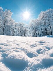 Obraz premium Snow Covered Field