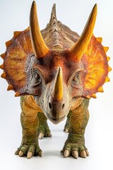 Fototapeta premium Toy Triceratops Head Close Up