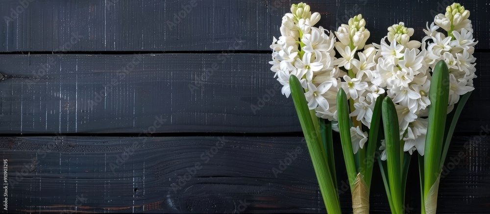 Poster hyacinth flowers in a white color against a black wooden table with space for text or images. creati