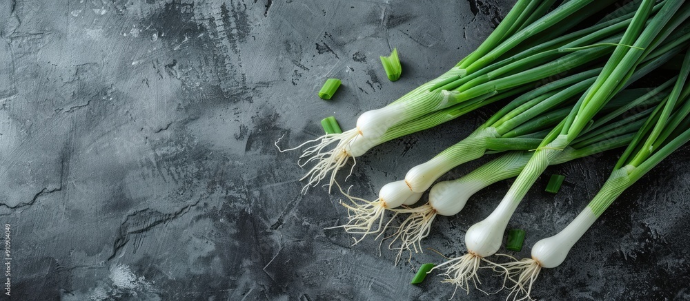 Poster Fresh green spring onion arranged on a slate surface with text space available highlighting the health benefits of this vegetable in a visually appealing copy space image