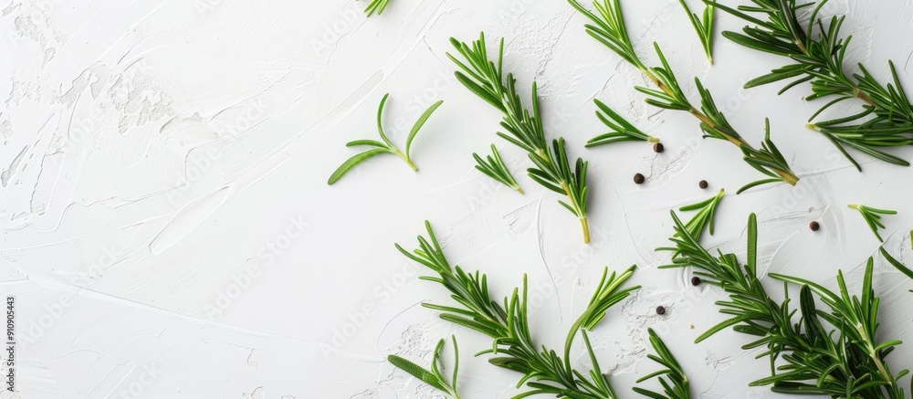 Poster Fresh green rosemary arranged on a white surface for a flat lay view with room for text or other elements in the image. Creative banner. Copyspace image