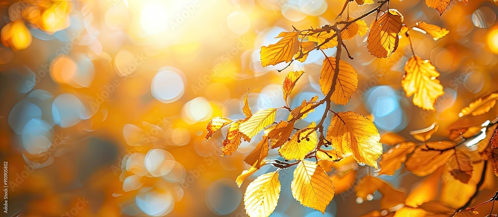 Poster sunny autumn day in a forest with yellow dry leaves offering a beautiful macro bokeh background idea