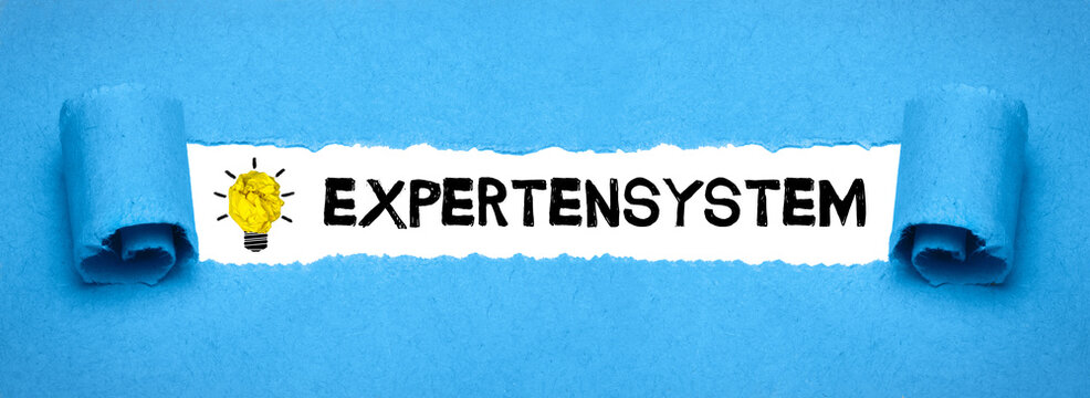 Expertensystem	
