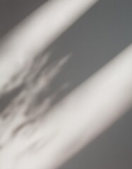 Organic Overlay: Diagonal Shadows and Light Effects