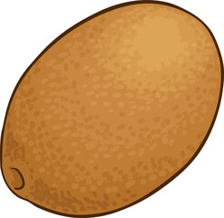 Cupuacu Fruit and Colored Detailed Illustration. Organic natural nutritional healthy food ingredient, vegetarian diet product. 