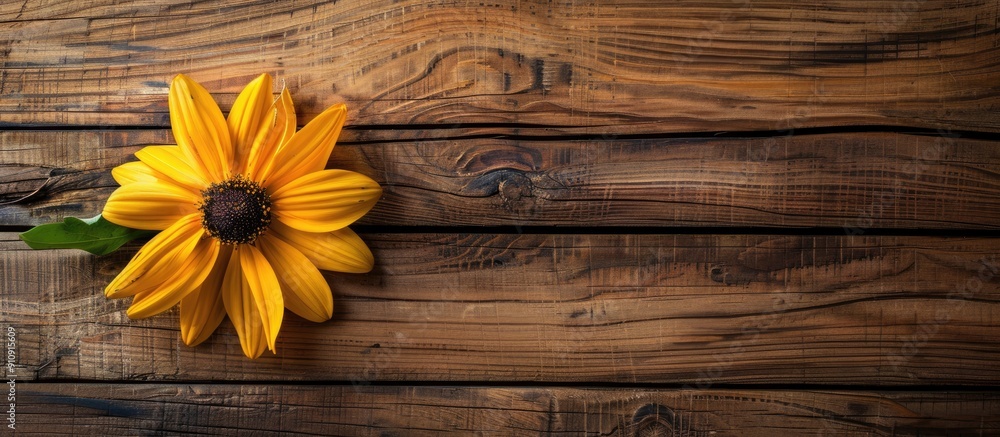Poster yellow flower on wooden bar backdrop for design and template with copy space image