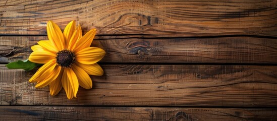 Fototapeta premium Yellow flower on wooden bar backdrop for design and template with copy space image