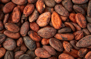 Cocoa beans grain texture . Ingredient for preparating chocolate