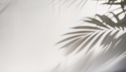 Obraz premium Abstract shadow of palm leaves on the white wall from early morning sunlight. Shadow of leaf on the wall. Transparent soft light and shadows from branches, plant, foliage. Product presentation, mockup