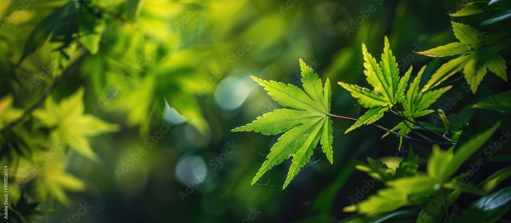 Poster a serene image of a green leaf in a garden surrounded by lush greenery perfect for a natural backdro