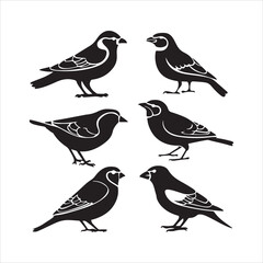 Minimalist Black and White Bird Vector Silhouettes