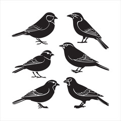 Minimalist Black and White Bird Vector Silhouettes