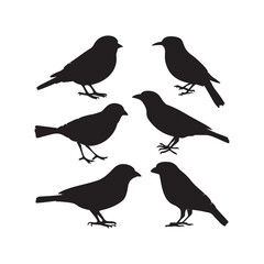 Minimalist Black and White Bird Vector Silhouettes