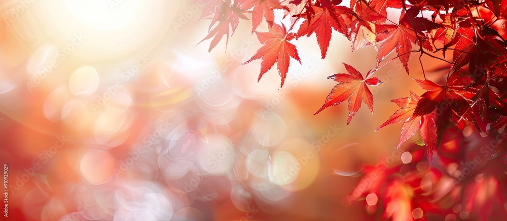 Aufkleber nature background featuring red maple leaves in autumn on a blurred background with copy space image