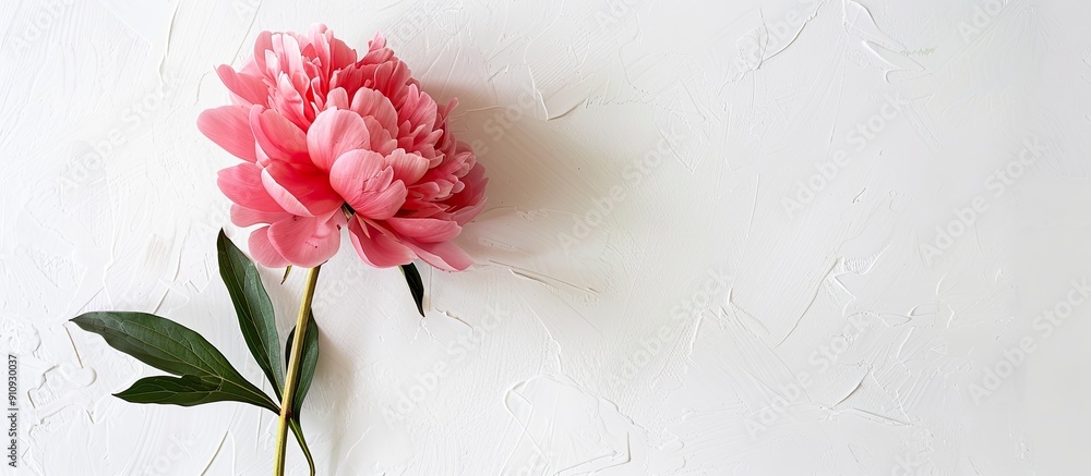 Aufkleber a pink peony flower is displayed against a white backdrop providing space for a greeting message thi