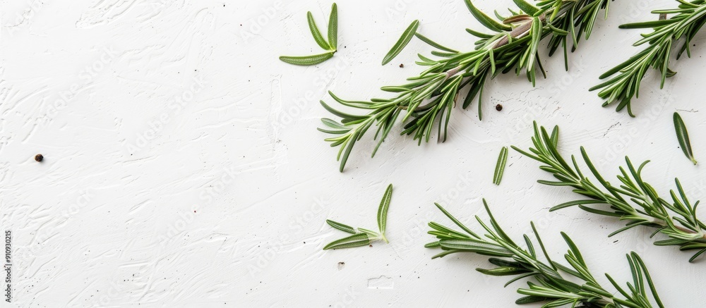 Aufkleber Fresh green rosemary arranged on a white surface for a flat lay view with room for text or other elements in the image. Creative banner. Copyspace image