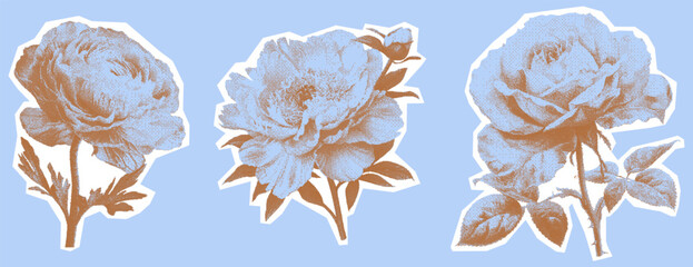 Vintage flowers kit. Collage with a girly aesthetic. Retro bitmap scrapbooking style with cutout element. Trendy stickers for poster art or t-shirt with photocopy dotted effect.