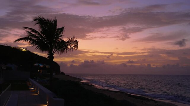 Violet sky during sunset on Baie Rouge beach with a silhouetted palm tree in Saint Martin.