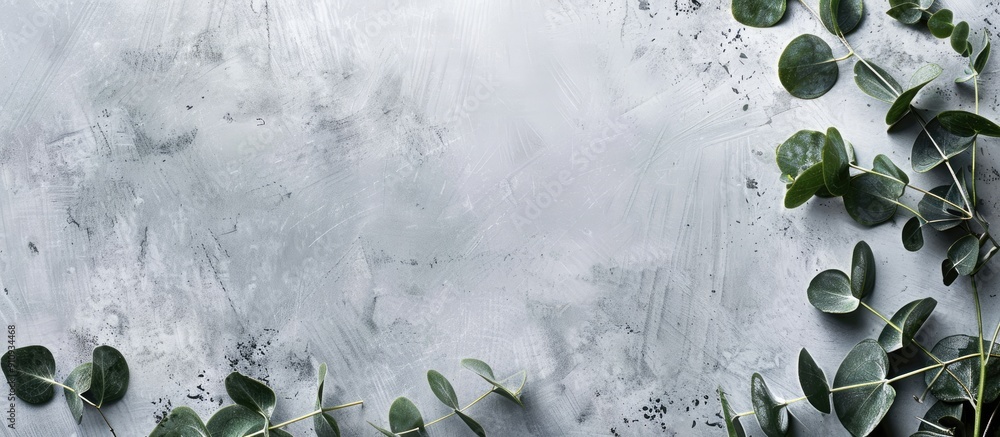 Poster eucalyptus twigs displayed on a grey concrete background for a greeting card with copy space image