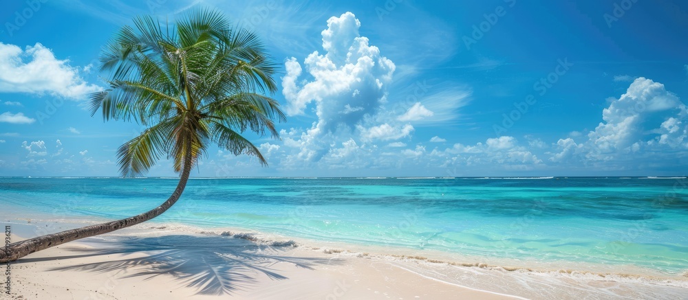 Poster A palm tree on a pristine beach with azure waters creating a serene scene with copy space image
