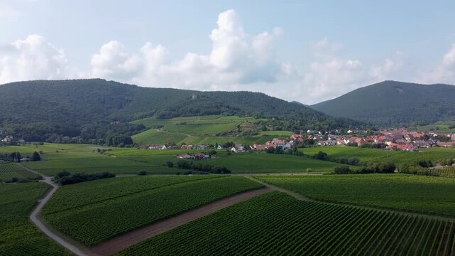 Panoramavideo Frankweiler - Deutsche Weinstra&szlig;e, Pfalz