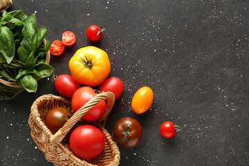 Scattered tomatoes from basket and basil on black background. Closeup