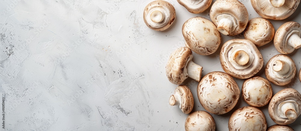 Aufkleber fresh champignon mushrooms collection on a white background with copy space image