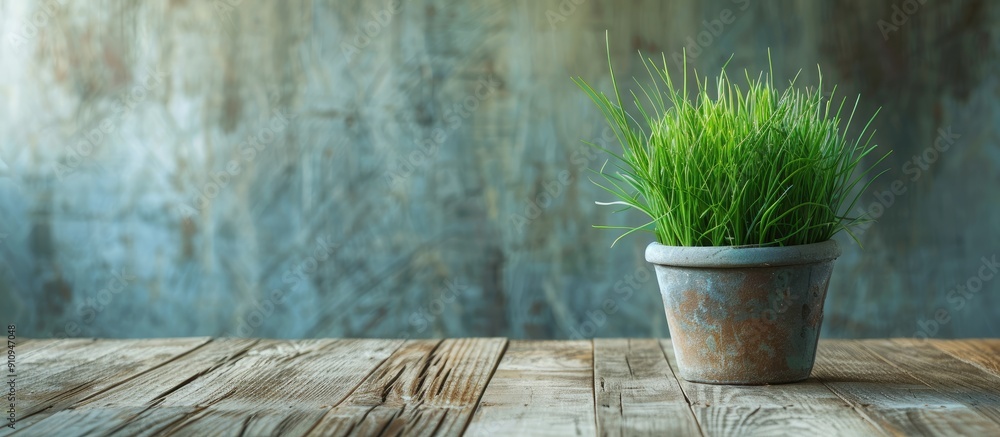 Poster grassy flowers in a pot atop a wooden table with copy space image