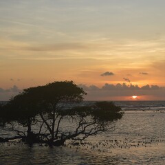 Beautiful sunset at Lombok island