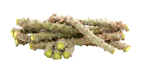 Tinospora cordifolia on transparent png