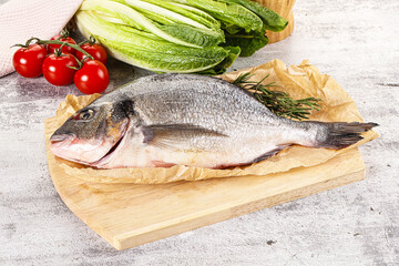 Raw dorada fish served rosemary