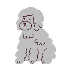 Vector illustration of a cute poodle dog with curly fluffy fur. Cartoon flat style, bichon, havanese or barbet puppy. Domestic animal icon for animal lovers, grooming salon, vet clinic