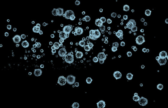bacteria clusters and virus particles isolated on black background, Microscopic view scientific microbiology close-up, pathogen microorganisms magnified detail